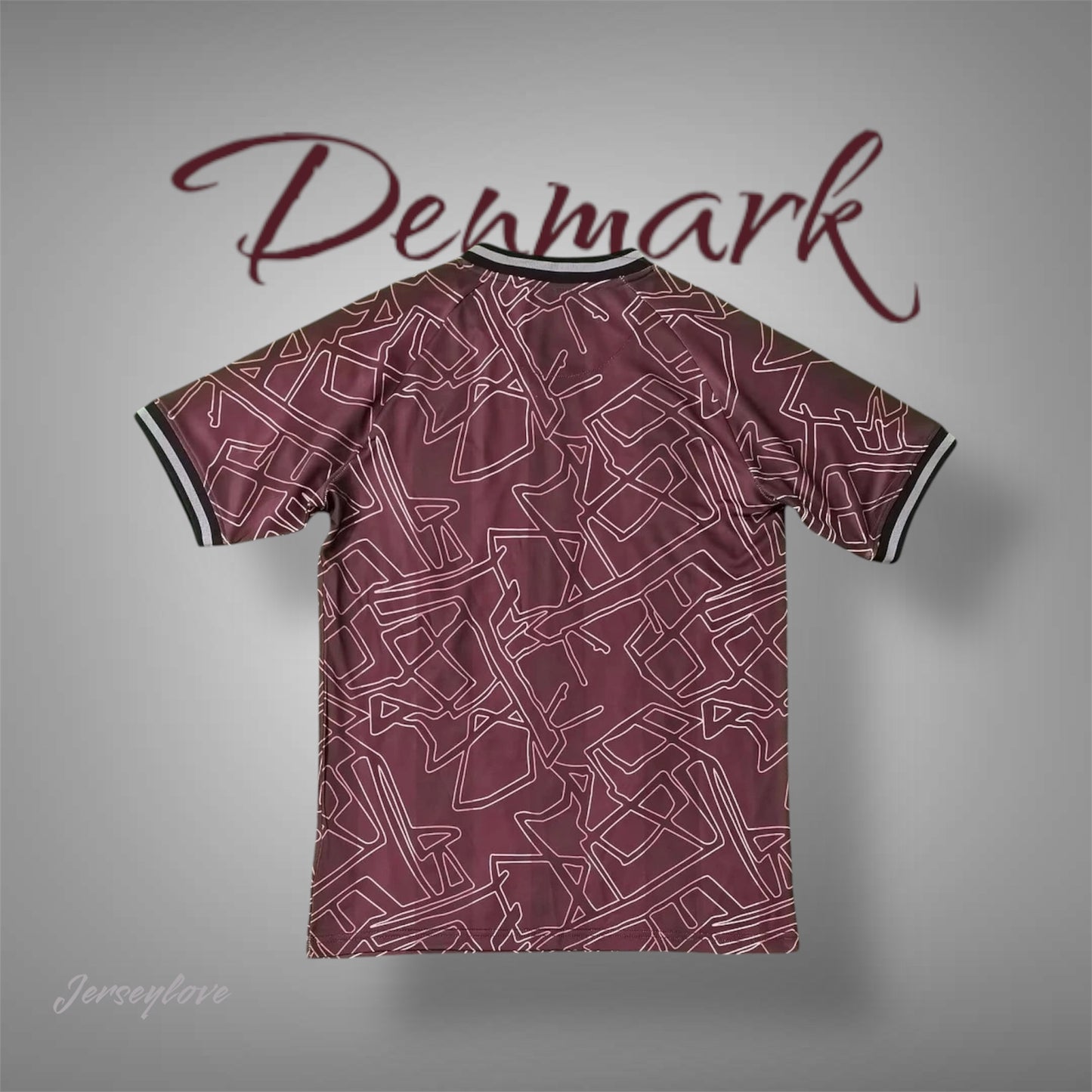 2024 Denmark national team special edition football shirt