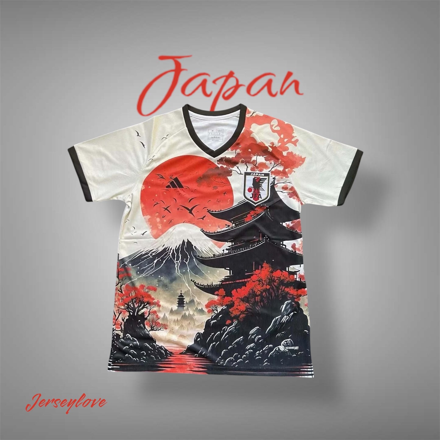 2024/2025 Japan Hongwild Goose Pagoda Special Edition Football Shirt