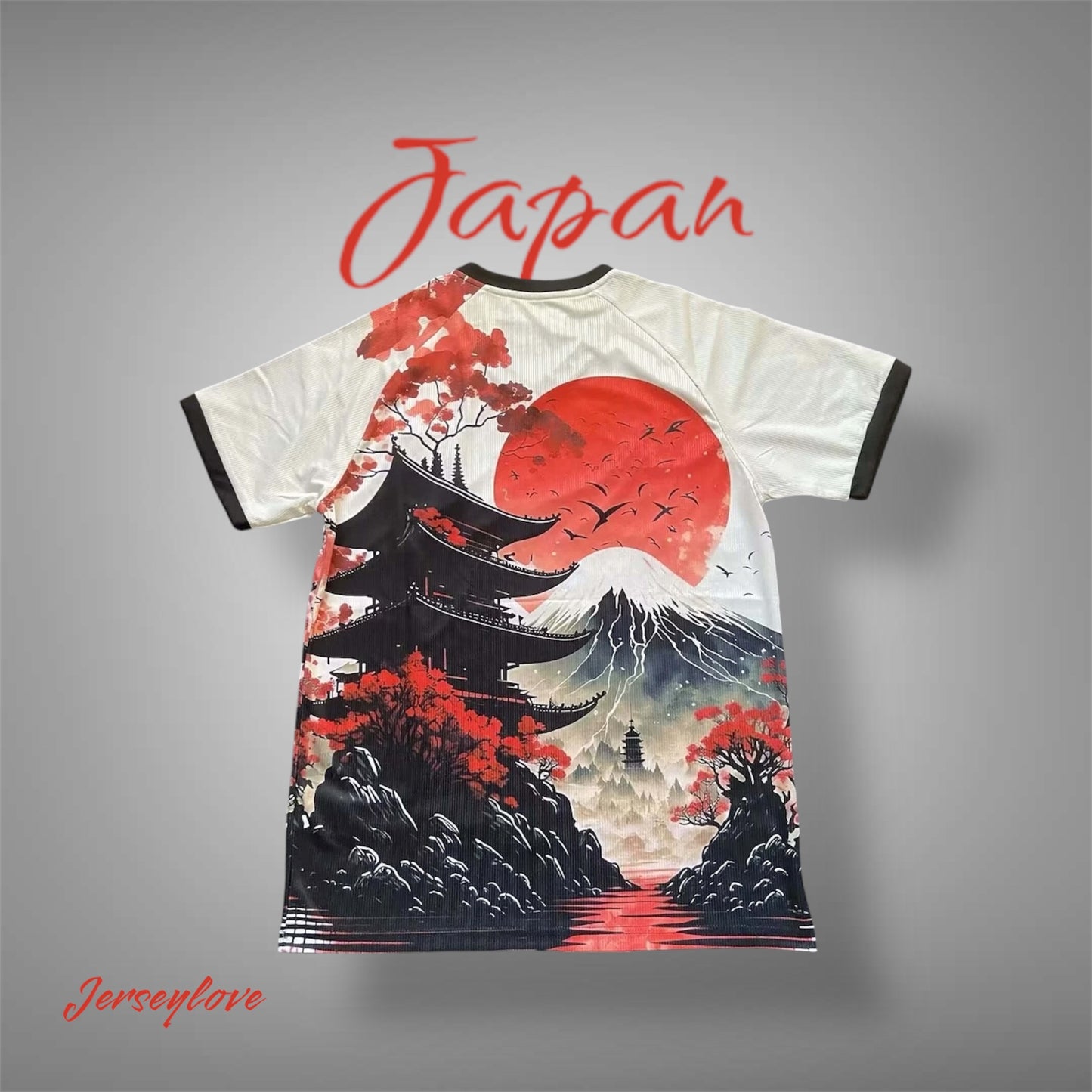 2024/2025 Japan Hongwild Goose Pagoda Special Edition Football Shirt