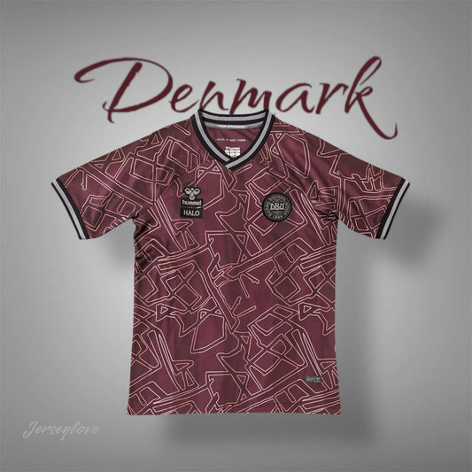 2024 Denmark national team special edition football shirt